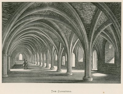 Fountains Abbey, die Kreuzgänge von Alexander Francis Lydon